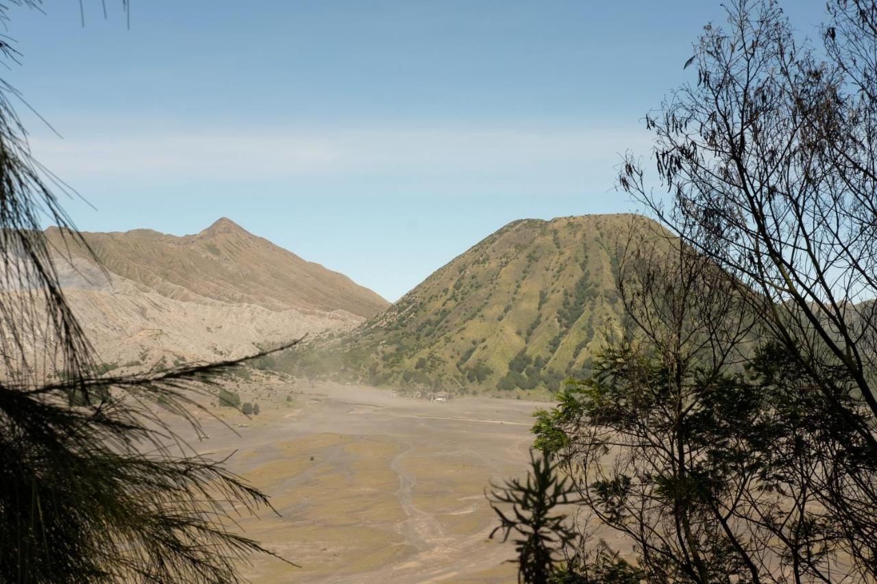 Mentigen Homestay Ngadisari エクステリア 写真