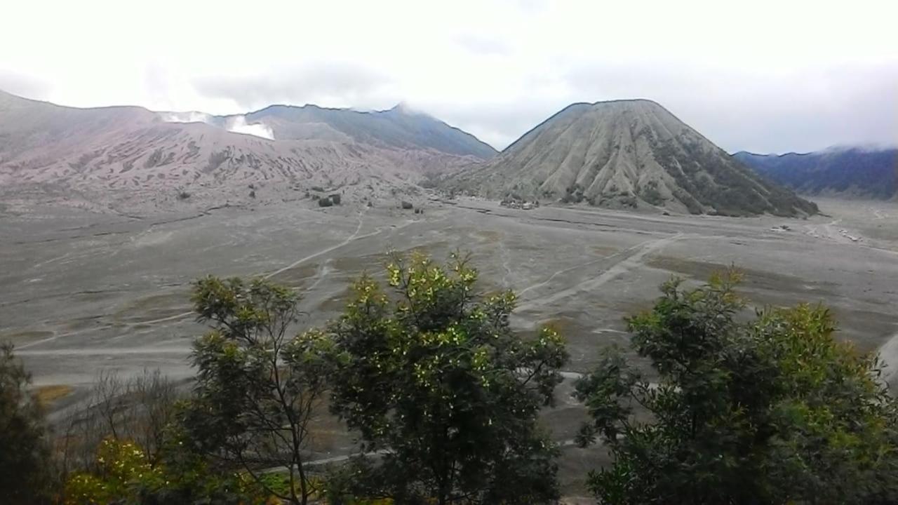 Mentigen Homestay Ngadisari エクステリア 写真