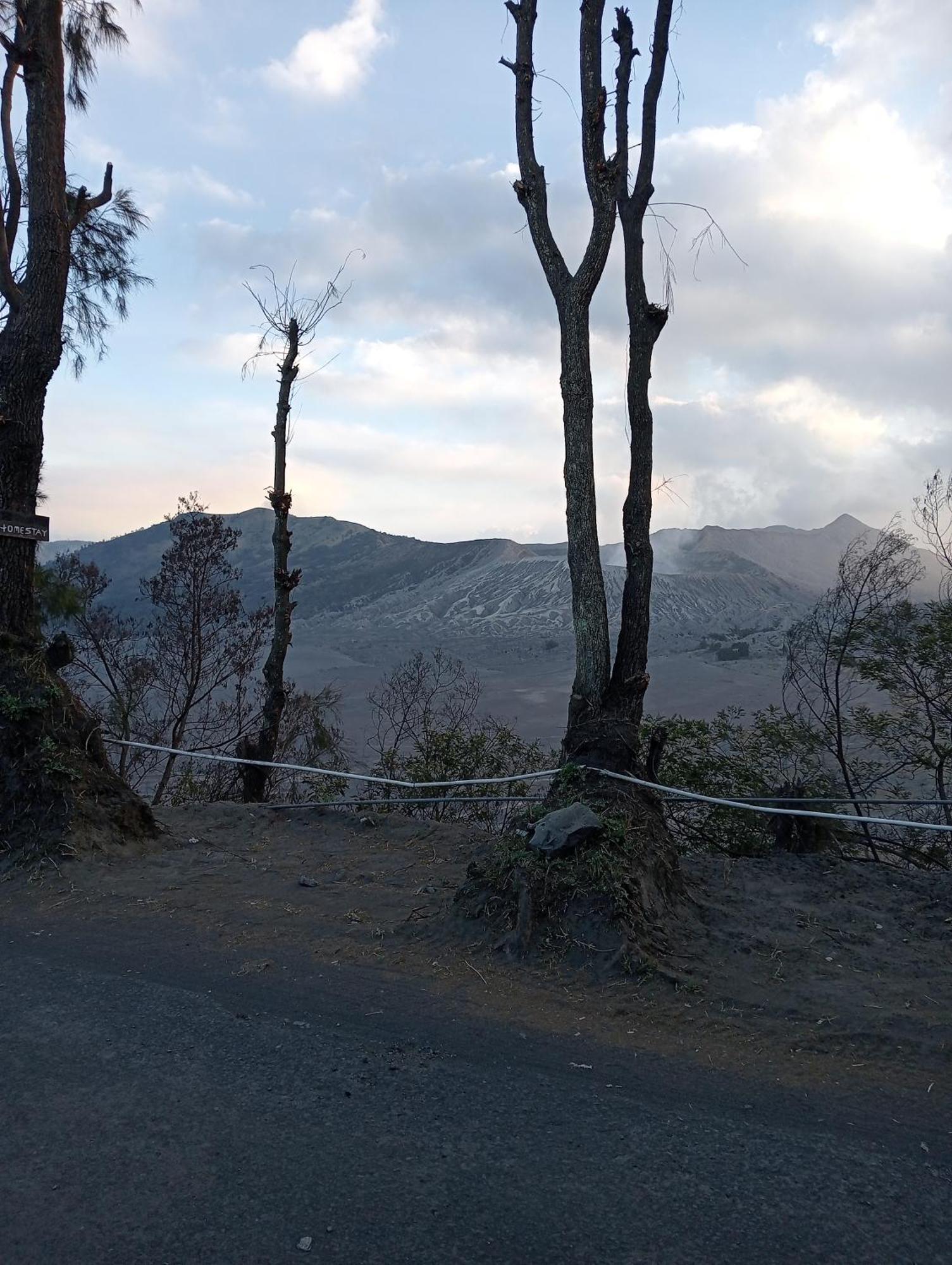 Mentigen Homestay Ngadisari 部屋 写真